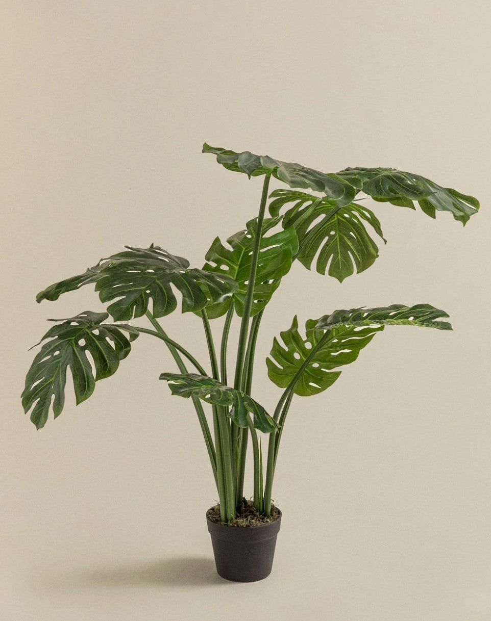 Monstera Plant (Artificial)