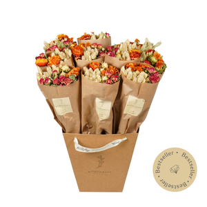 Dried Flowers - Market More - Orange