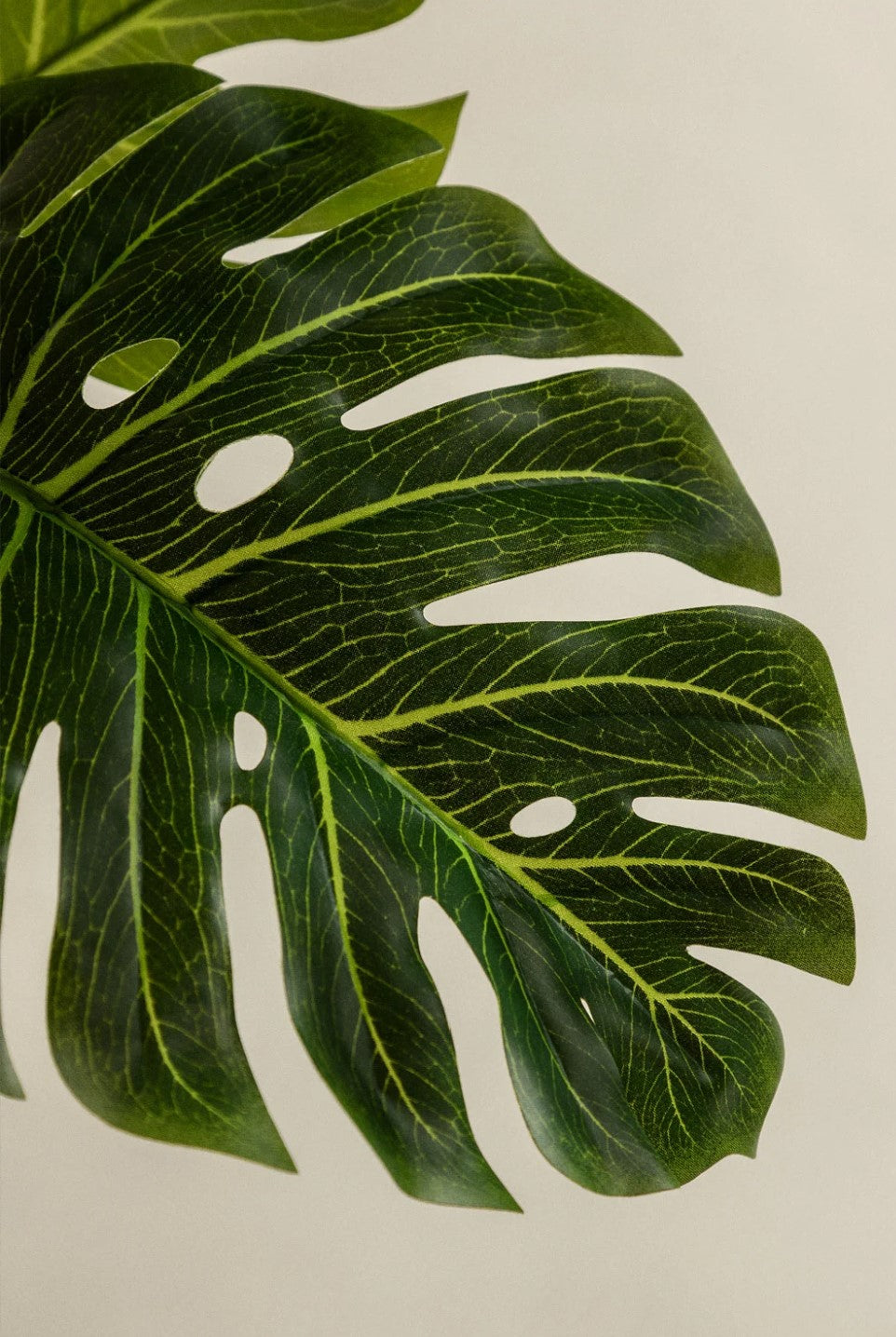 Monstera Plant (Artificial)