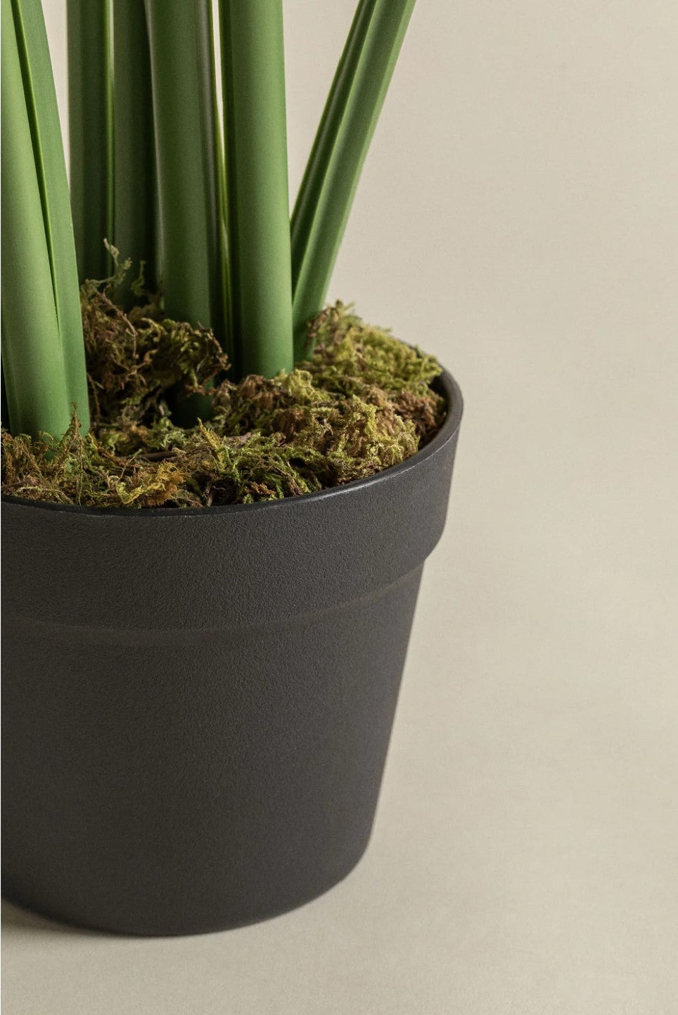 Monstera Plant (Artificial)