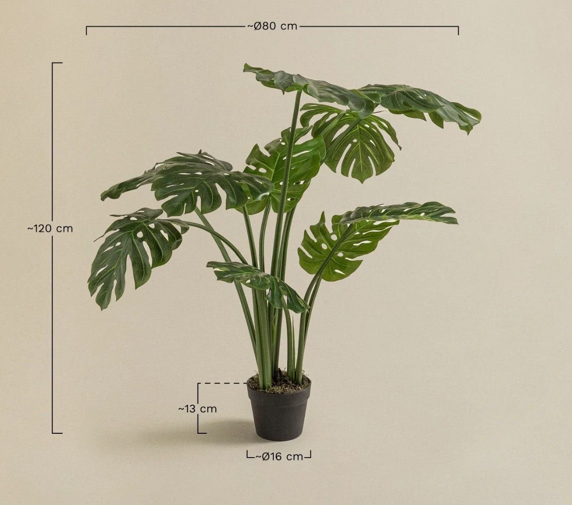 Monstera Plant (Artificial)
