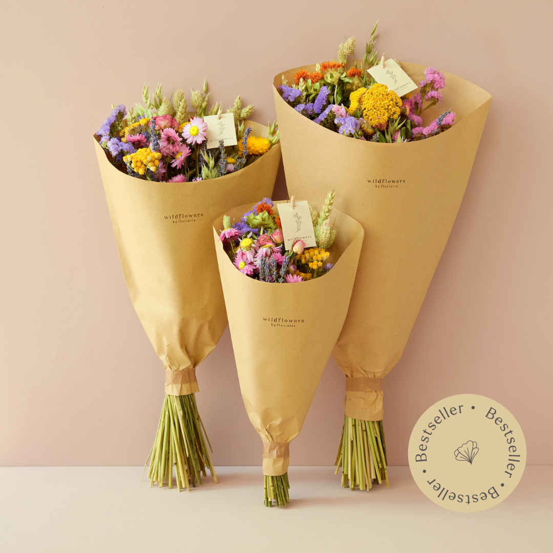 Dried Flowers - Field Bouquet - Multi