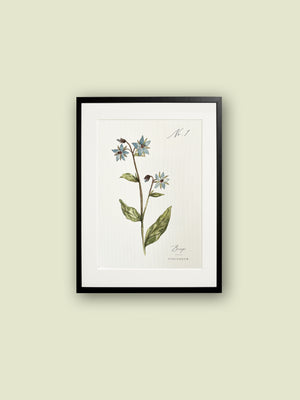 K.arti Maltese Flora Posters