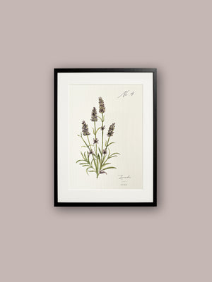K.arti Maltese Flora Prints