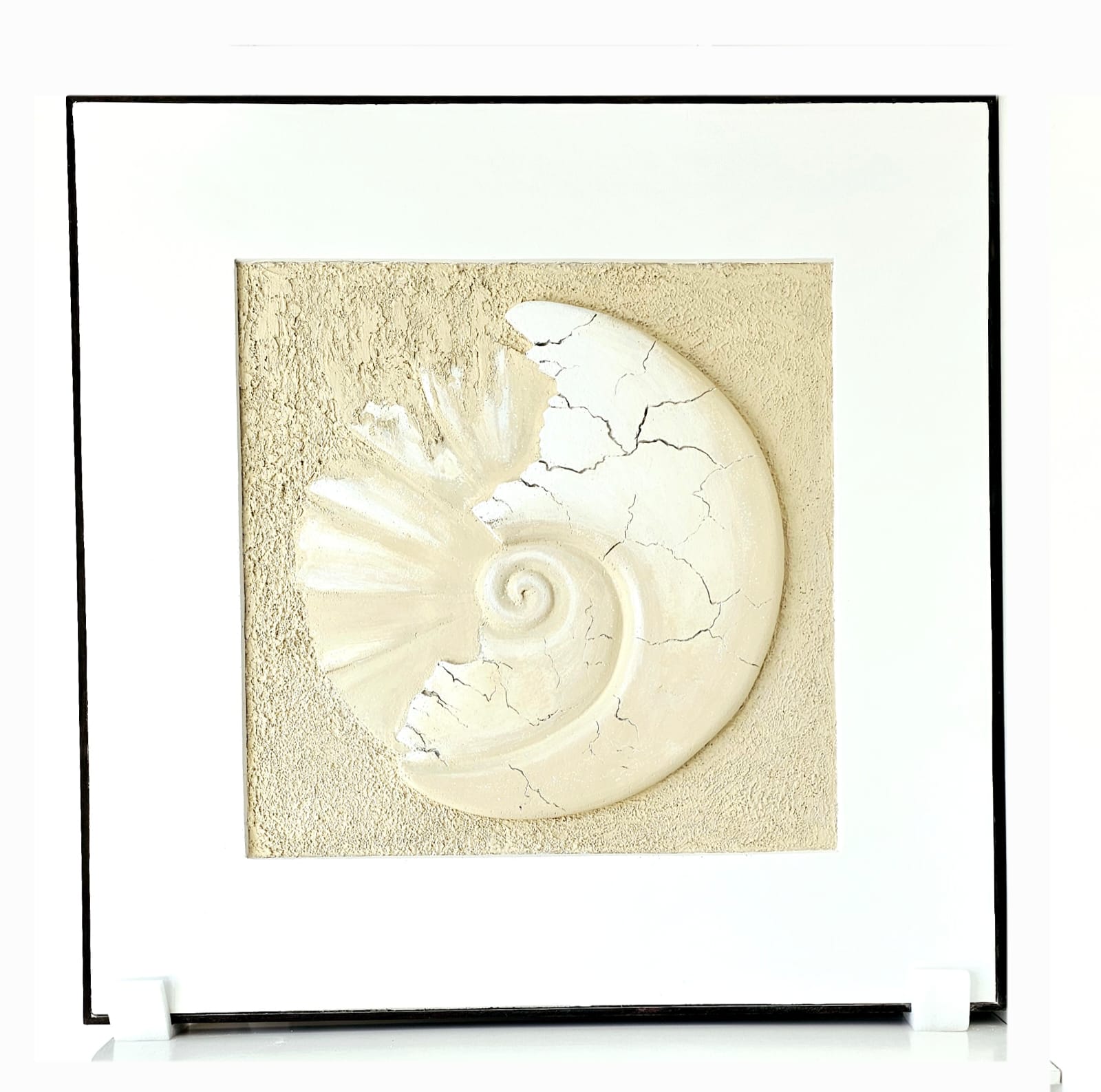 Shell Wall Art