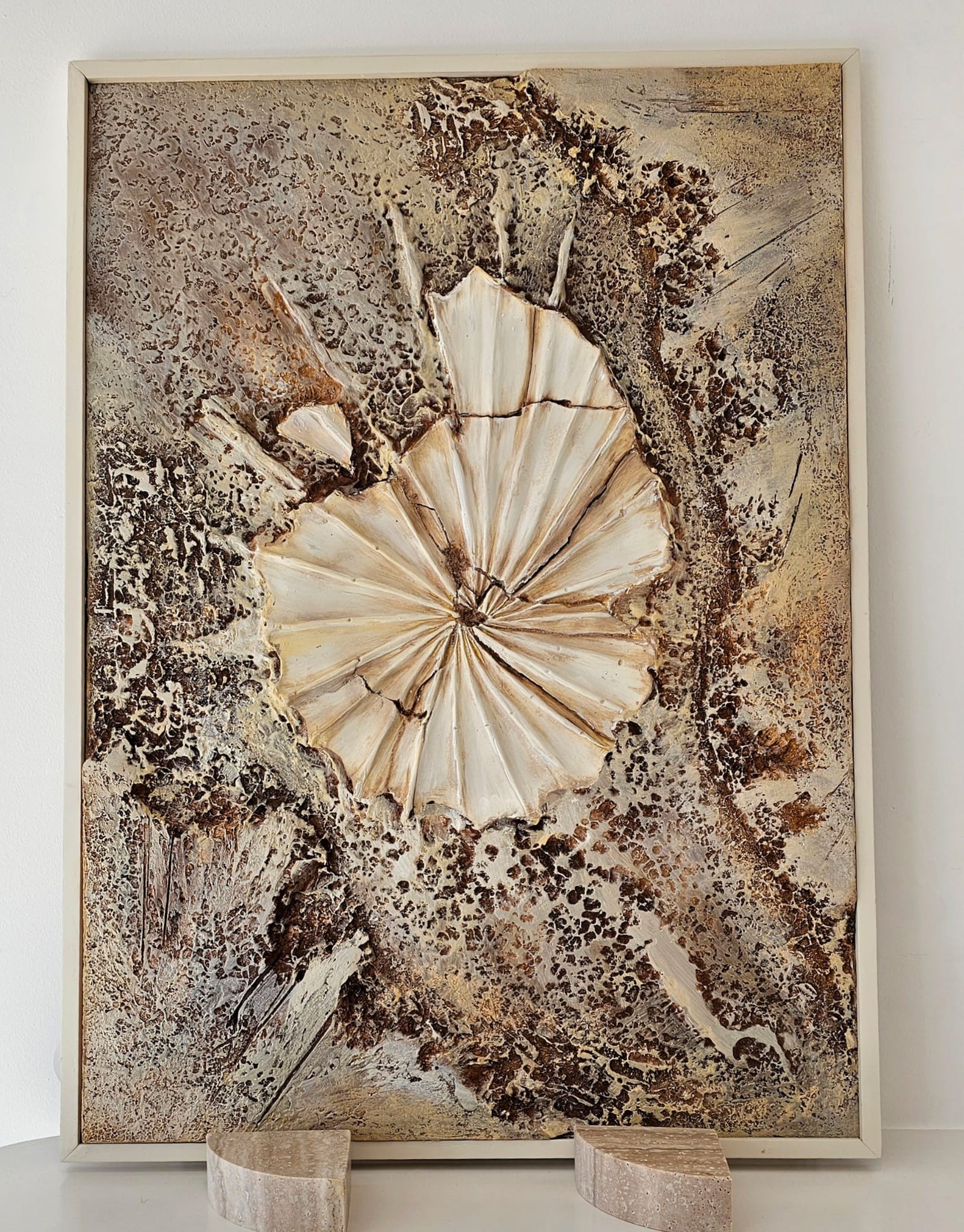 Fossil Wall Art