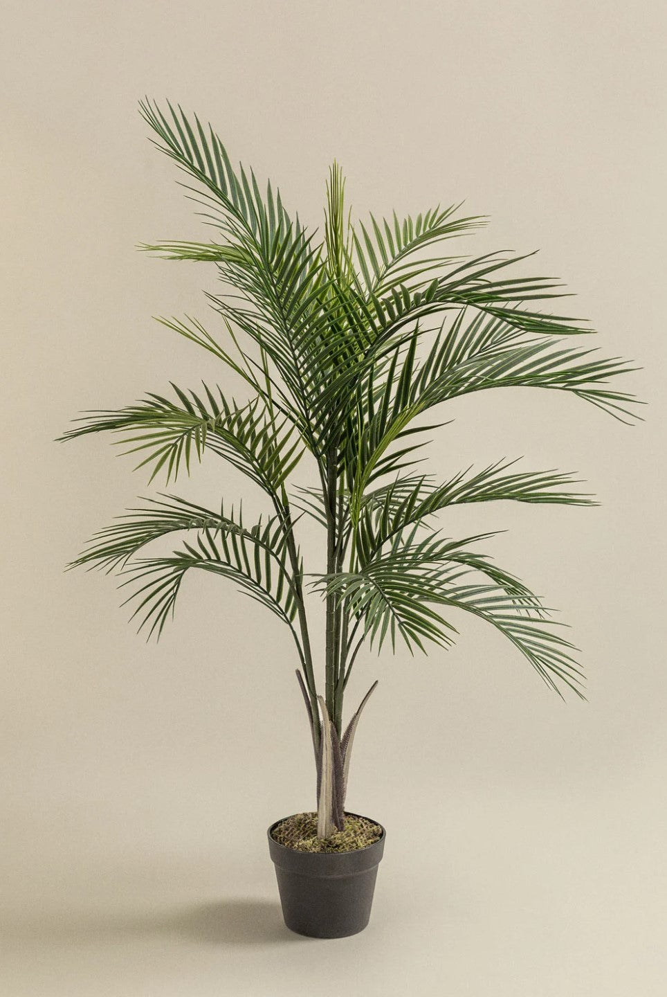 Pygmy Palm Plant (Artificial)