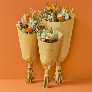 Dried Flowers - Field Bouquet - Pastel Delight - Medium