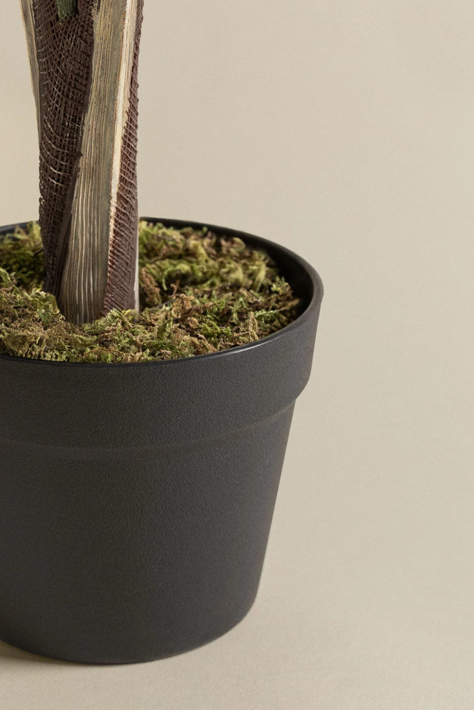 Pygmy Palm Plant (Artificial)