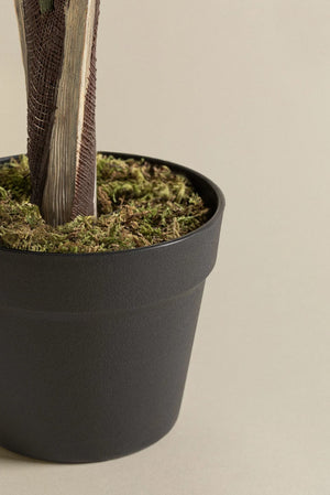 Pygmy Palm Plant (Artificial)
