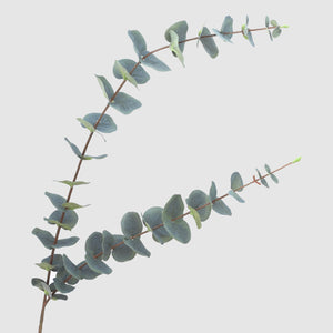 Artificial Tall Green Eucalyptus