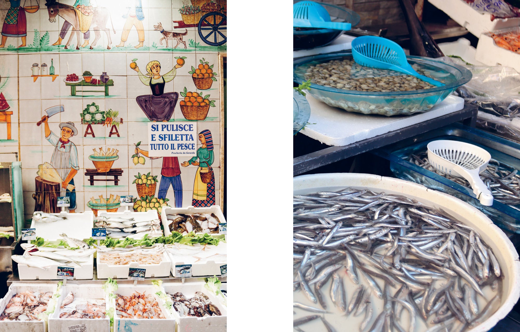 Italian Costal Cookbook
