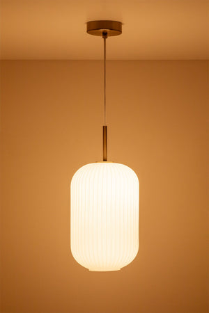 Bruner Ceiling Light