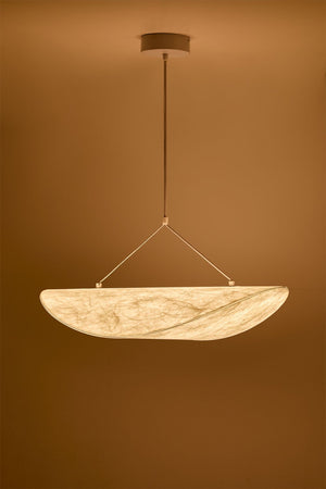 Zelvon Ceiling Light