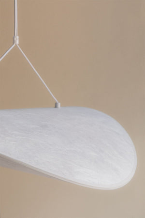 Zelvon Ceiling Light