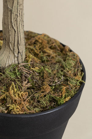 Artificial Eucalyptus Plant