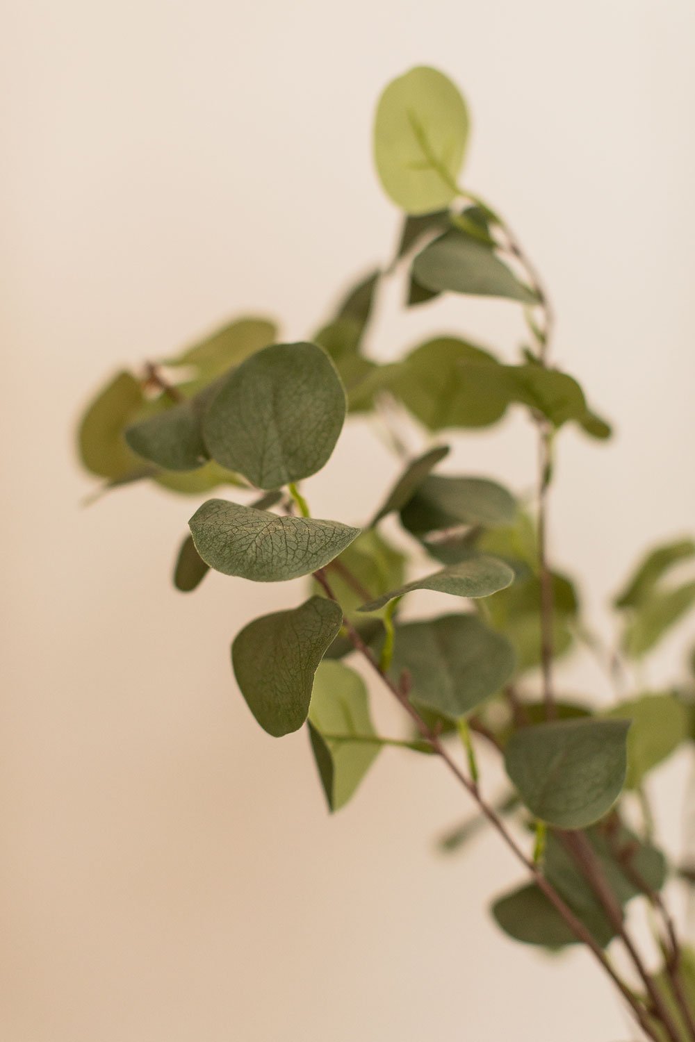 Artificial Eucalyptus Plant