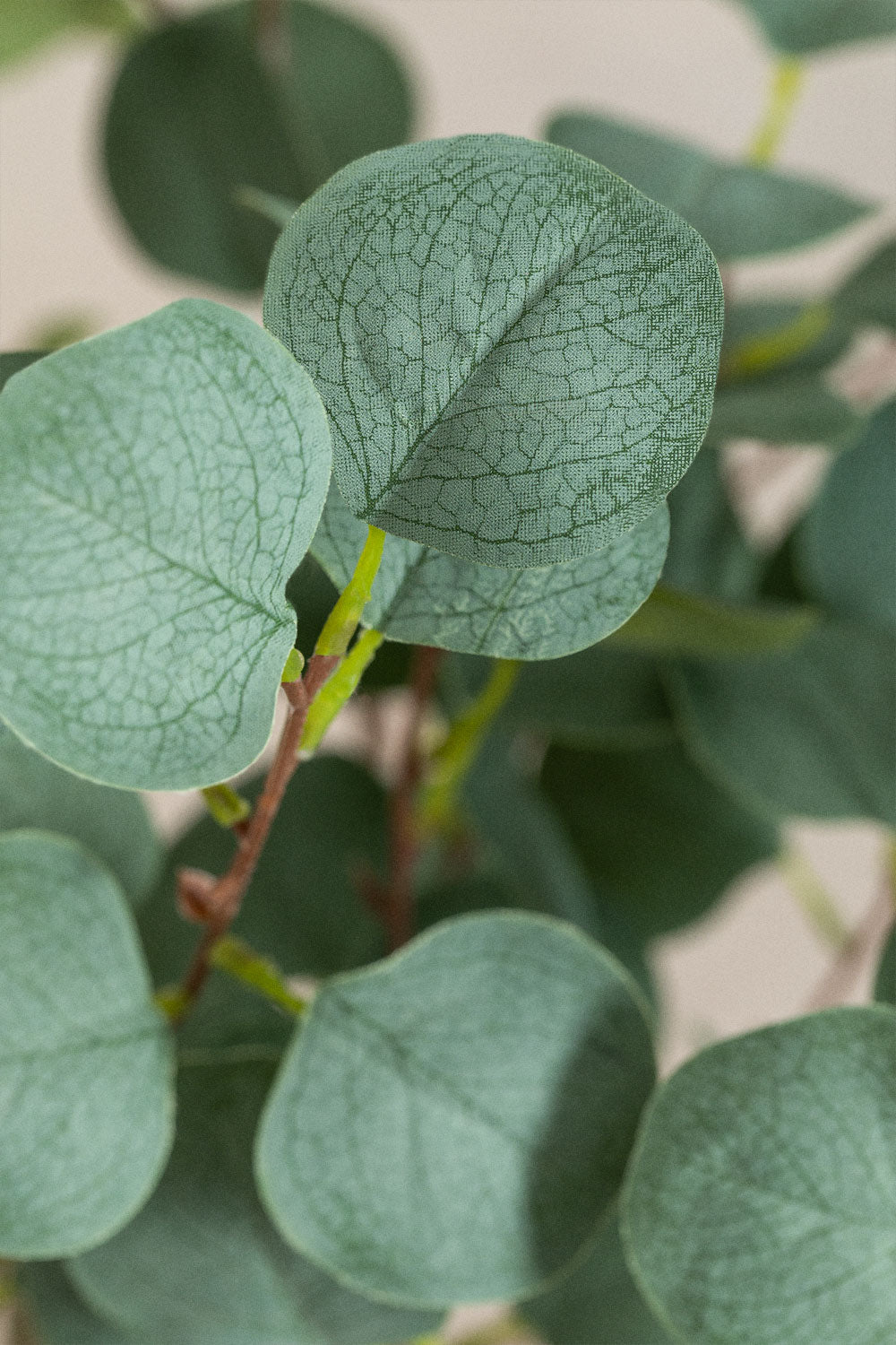 Artificial Eucalyptus Plant