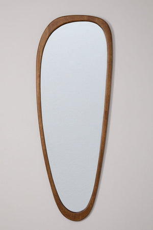 Arbidel Mirror
