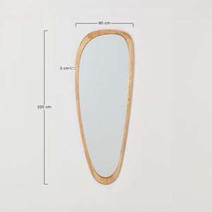 Arbidel Mirror
