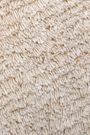 Francine Irregular Rug