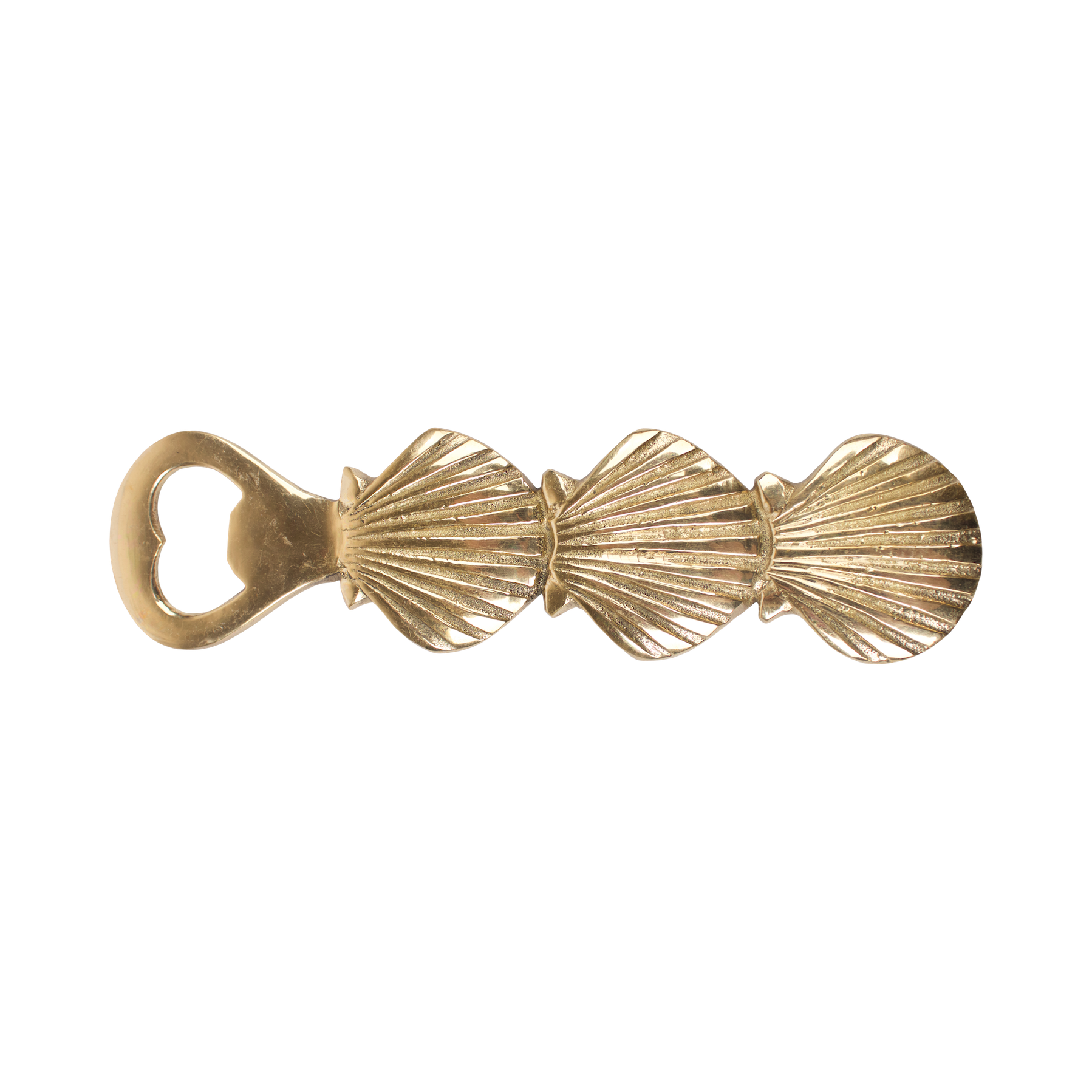 Shell Bottle Opener