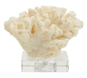 Boho Large White Coral