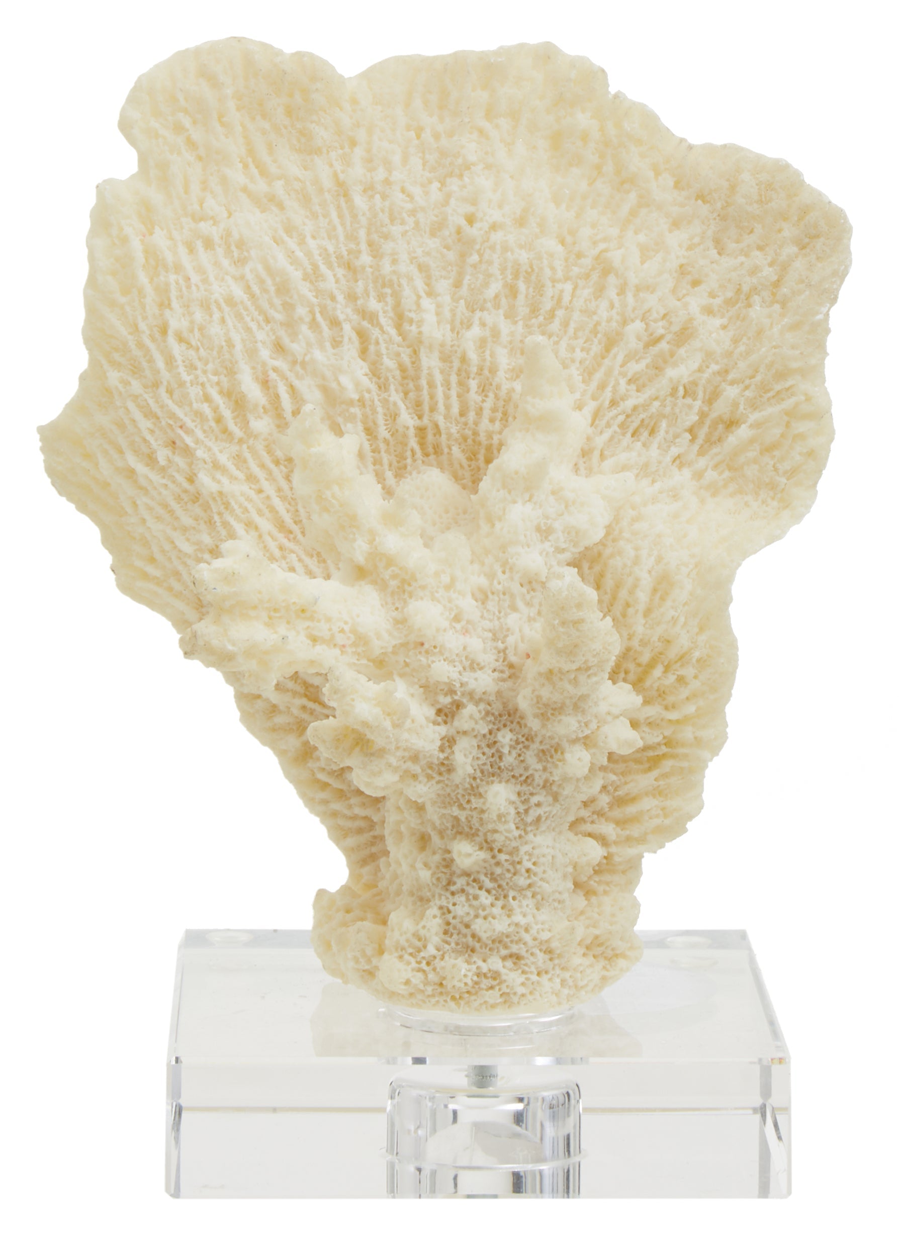 Boho Small White Coral