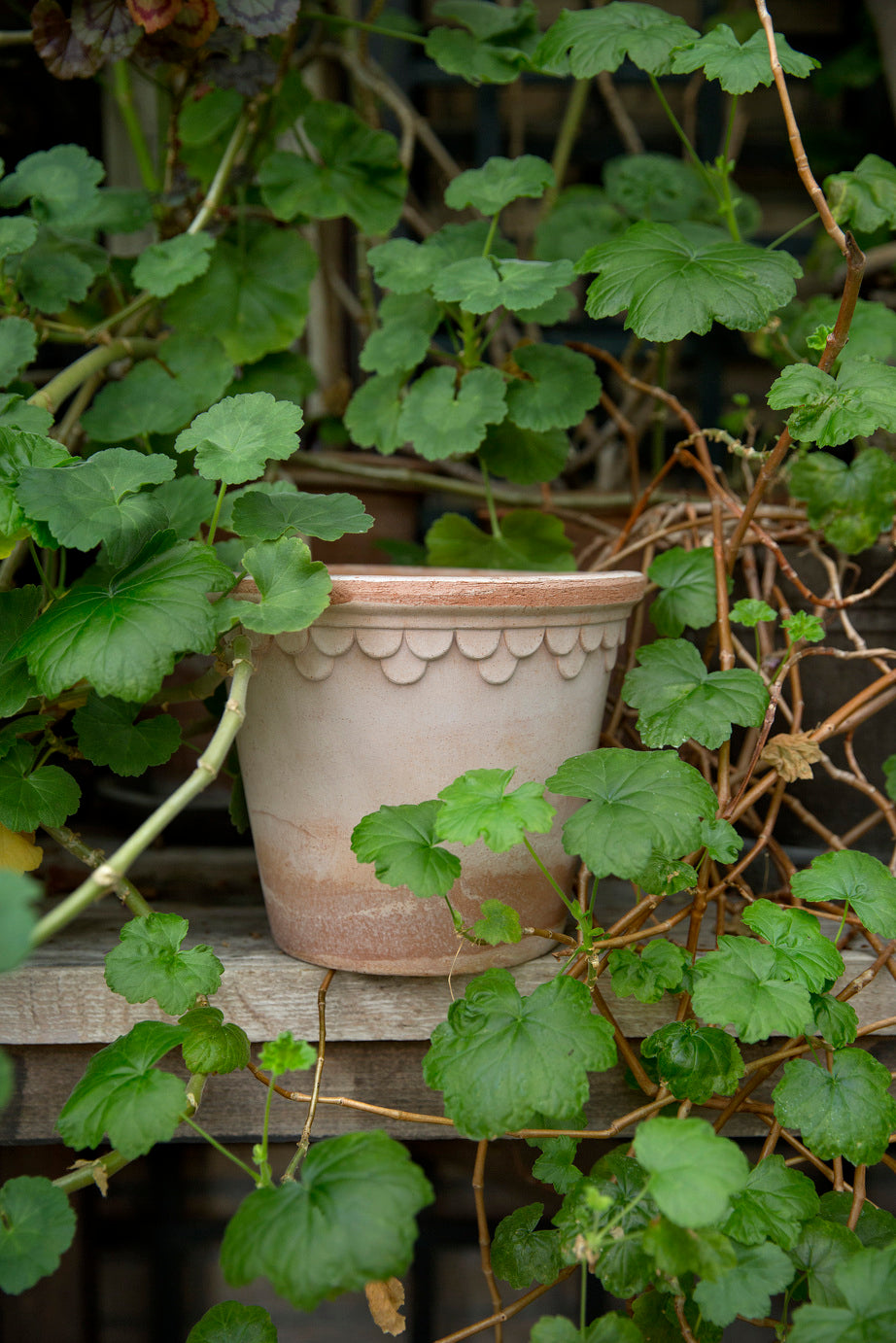 Rosa Raw Handmade Ceramic Pot Bergs Potter Denmark