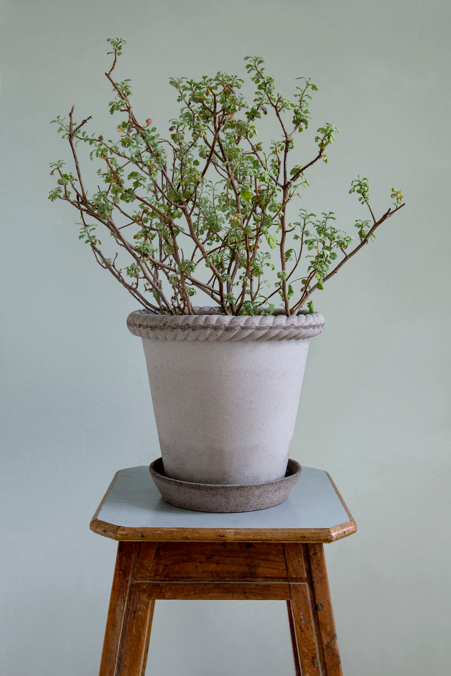 Grey Raw Handmade Ceramic Pot Bergs Potter Denmark