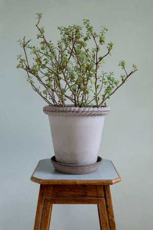 Grey Raw Handmade Ceramic Pot Bergs Potter Denmark