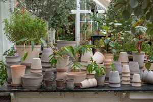 Light Raw Handmade Ceramic Pot Bergs Potter Denmark