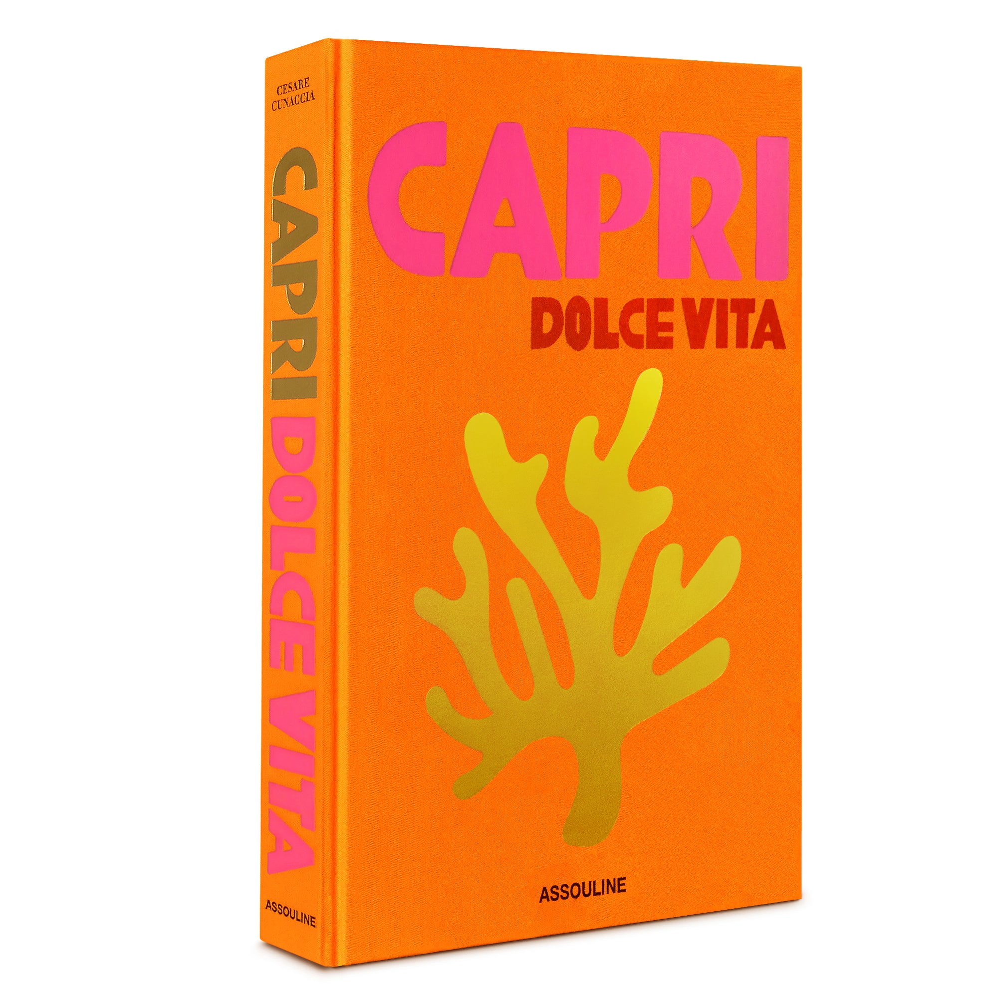 Assouline Capri Dolce Vita Travel Series coffee table living room premium book