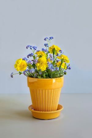 Simona Plant Pot, Yellow
