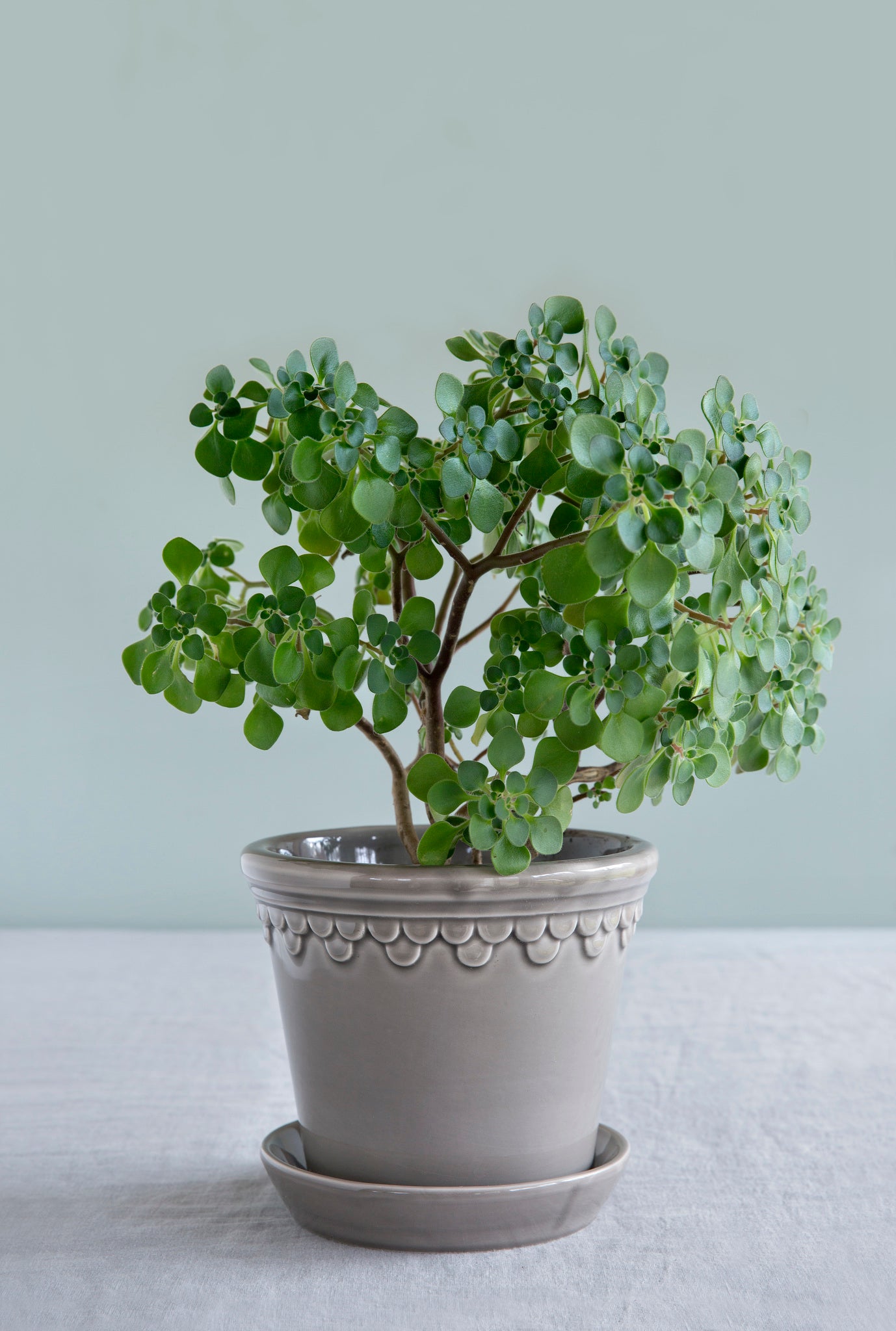 Copenhagen Plant Pot, Pearl Grey